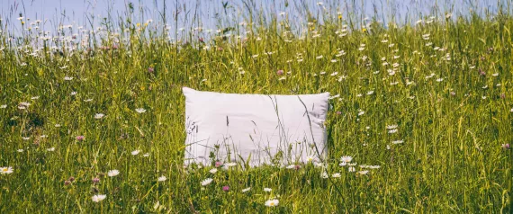 Kissen Kissenmenü Kräuterkissen Stützkissen Nackenkissen Dinkelkissen Hirsekissen Hotelkissen 