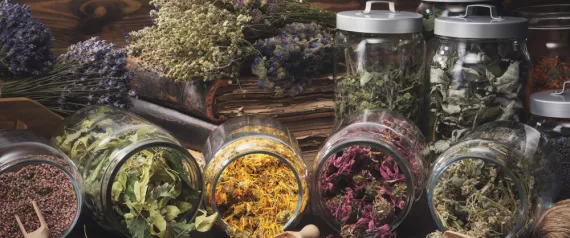 die eigene Auswahl treffen Handgemacht in Vorarlberg, Himmelgrün Naturprodukte