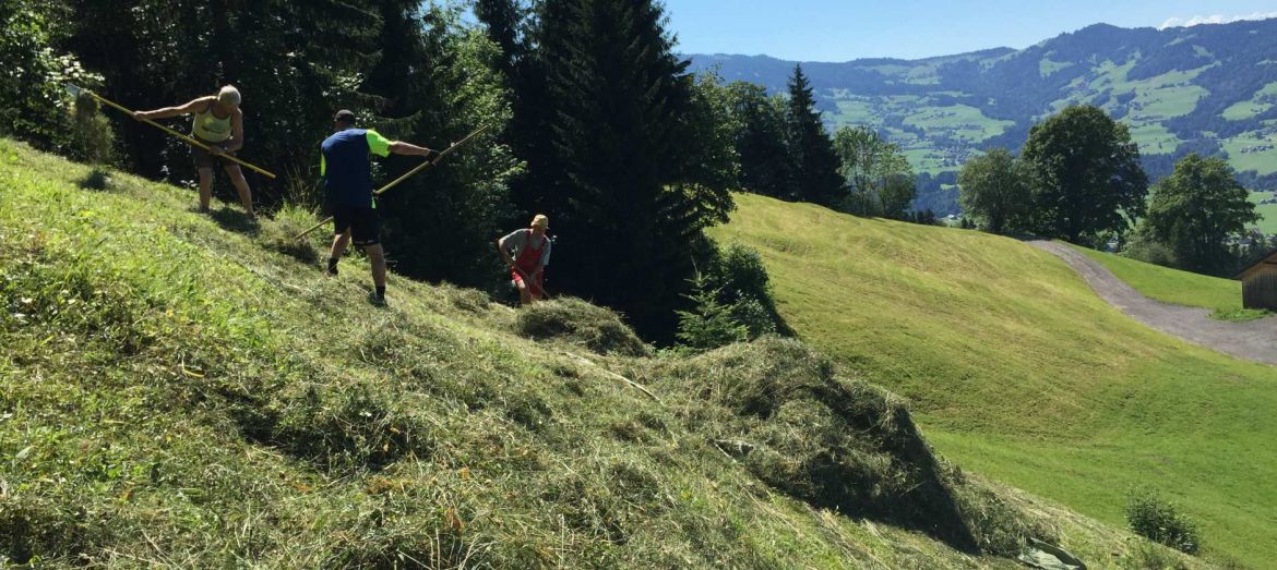 Die Bergheu-Ernte ist im vollen Gang