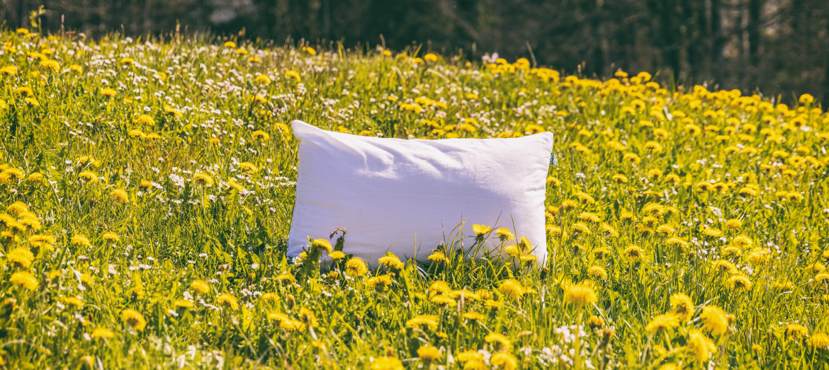 Kräuterkissen Kräuter Schlafkissen himmelgrün 