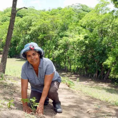 Wiederaufforstungsprojekt in Nicaragua