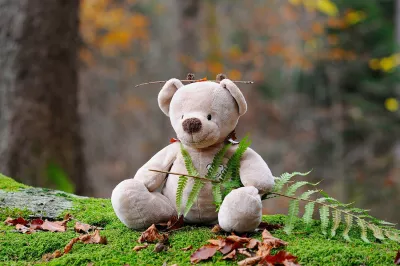 Ein kuscheliger Teddybär im Wald