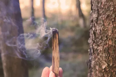Palo Santo Räucherholz von Himmelgrün für spirituelle Reinigung und harmonische Raumenergie