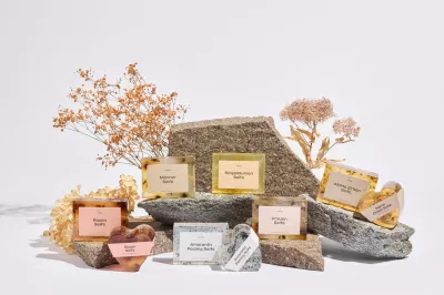 Mehrere handgemachte Naturseifen von Himmelgrün in verschiedenen Farben und Formen, dekorativ auf Natursteinen mit getrockneten Blumen arrangiert, darunter Rosen-, Ringelblumen-, Zirben- und Peelingseifen.