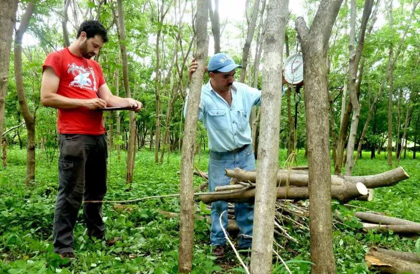 My Climate Klimaschutzprojekt in Nicaragua